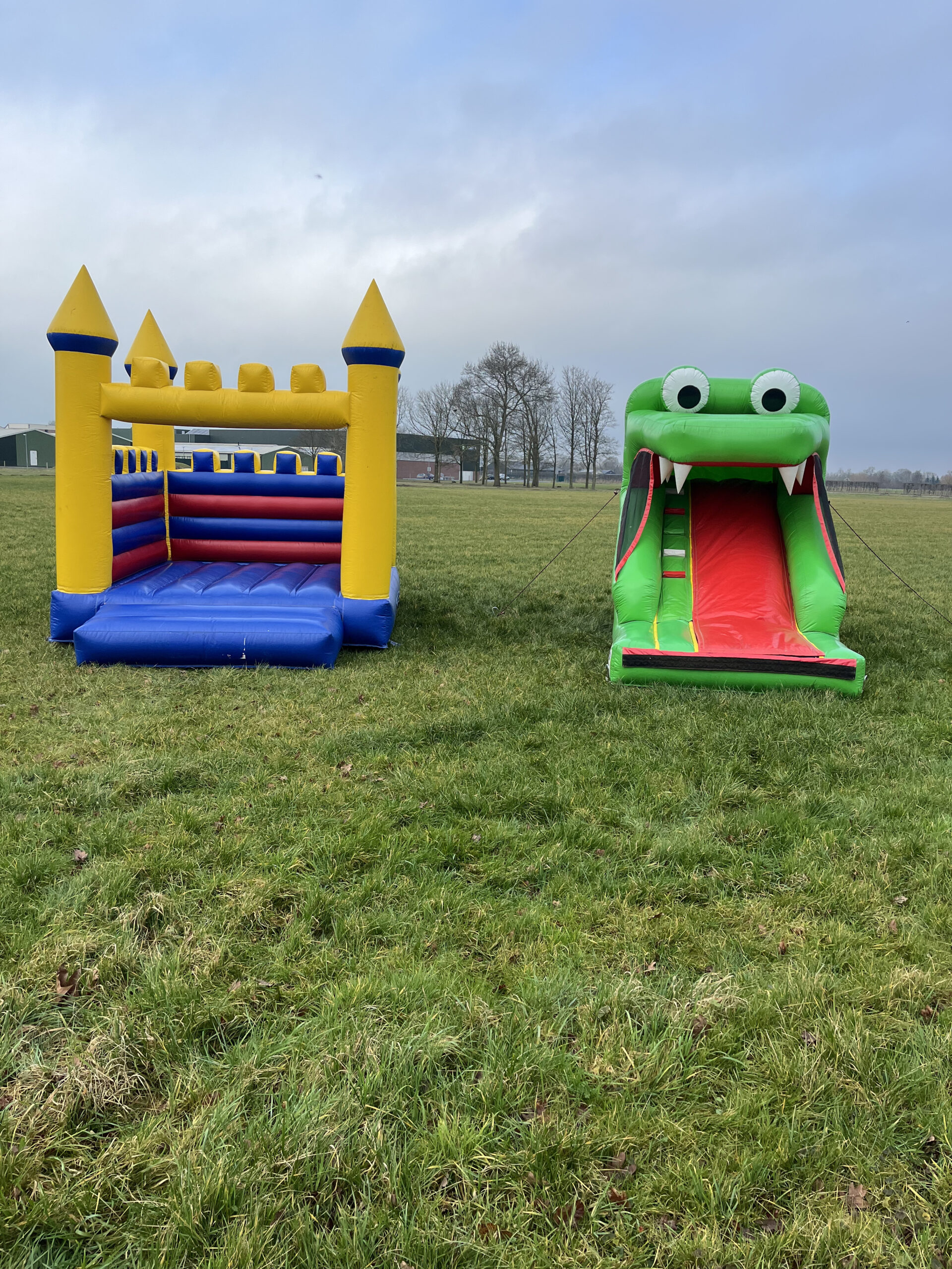 Foto springkussen kasteel en krokodil